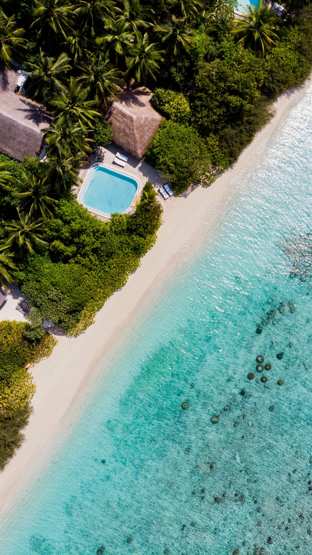OceanView 20
